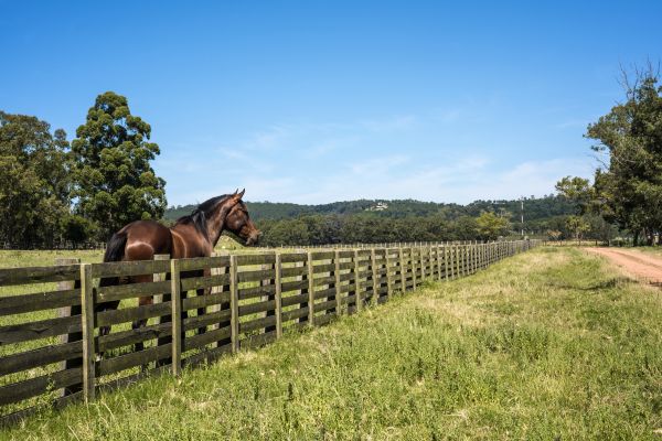 Grow your Horse Fence Repair business