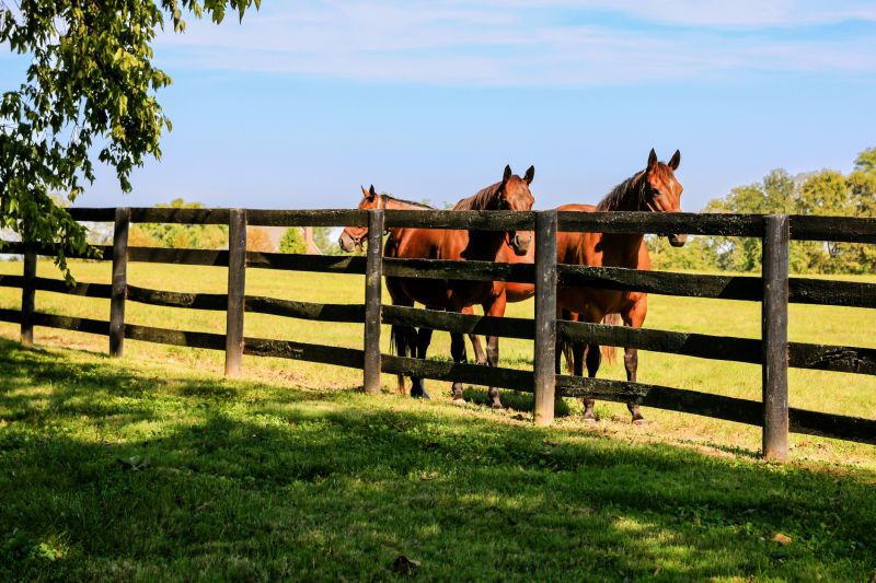 Wooden Ranch Fence