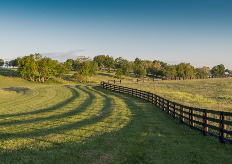 Horse Fence Repair
